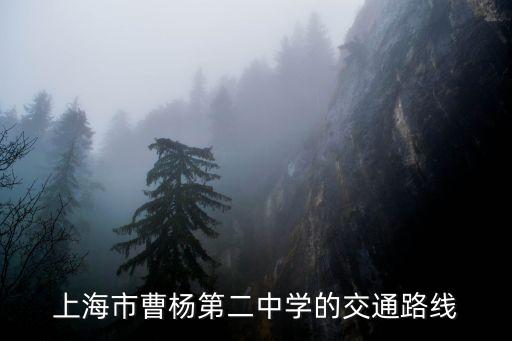 上海市曹楊第二中學的交通路線