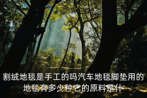 割絨地毯是手工的嗎汽車地毯腳墊用的地毯有多少種它的原料是什