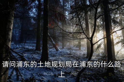 請問浦東的土地規(guī)劃局在浦東的什么路上