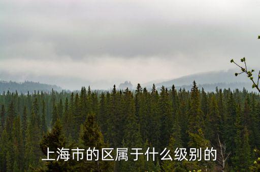 宜荷市就是上海市，上海宜川是哪個省的城市
