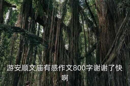 游安順文廟有感作文800字謝謝了快啊