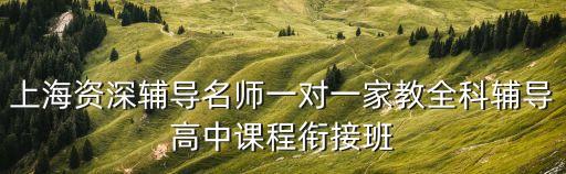 上海市仁創教育指導中心，上海最好的輔導機構地址電話大全 高中文理綜一對一補習怎樣