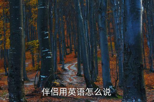 伴侶英文，求陪伴伴侶的英文的簡(jiǎn)寫急急急