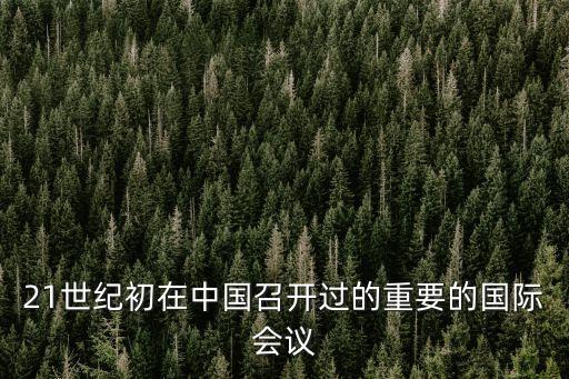 國際會議，21世紀(jì)初在中國召開過的重要的國際會議