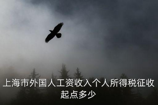 上海市外國人工資標準，上海市外國人工資收入個人所得稅征收起點多少