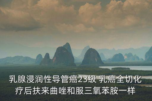 乳腺浸潤(rùn)性導(dǎo)管癌23級(jí) 乳癌全切化療后扶來(lái)曲唑和服三氧苯胺一樣