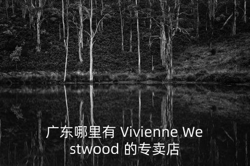 廣州vivianwestwood婚紗，請vivienne westwood設計個婚紗要多少錢呢