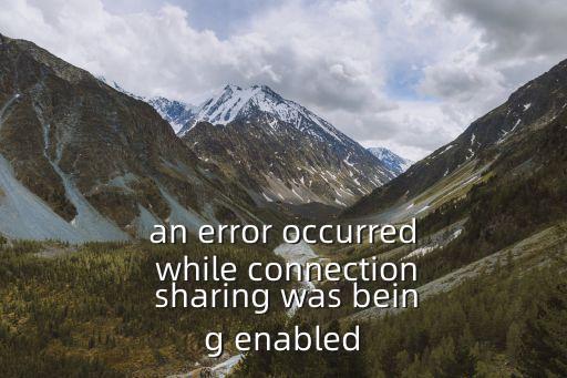 上海市審計局張海軍，an error occurred while connection sharing was being enabled