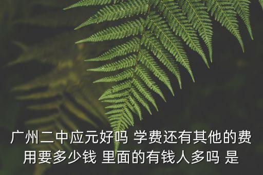 廣州二中應(yīng)元好嗎 學(xué)費(fèi)還有其他的費(fèi)用要多少錢 里面的有錢人多嗎 是