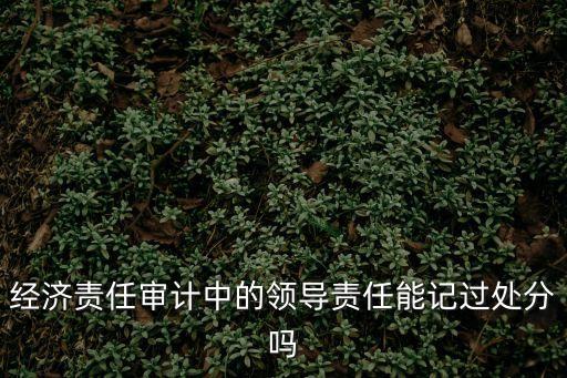 經(jīng)濟責(zé)任審計中的領(lǐng)導(dǎo)責(zé)任能記過處分嗎