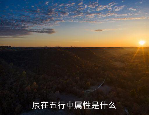 辰的五行屬性，辰字在五行中是什么屬性看好是辰不是晨