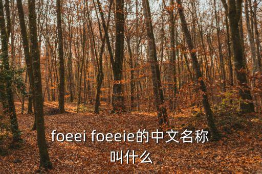 foeei foeeie的中文名稱叫什么