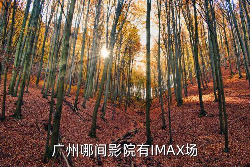 廣州新港路的萬(wàn)達(dá)imax，廣州哪里有imax巨幕電影院