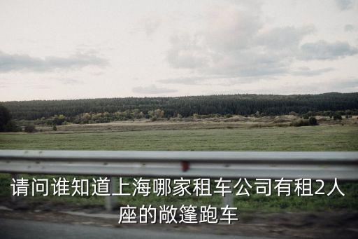 請問誰知道上海哪家租車公司有租2人座的敞篷跑車