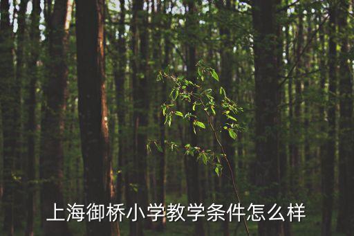 上海御橋小學(xué)教學(xué)條件怎么樣