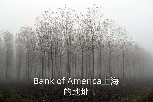 興業(yè)銀行官網(wǎng)上海市地址，Bank of America上海的地址
