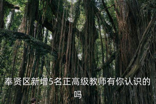 上海市園丁獎名單2020年，2020一線城市排名是怎樣的