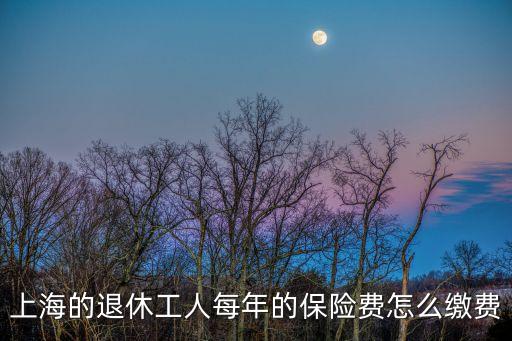 上海市老人養老保險怎么繳費，上海的退休工人每年的保險費怎么繳費
