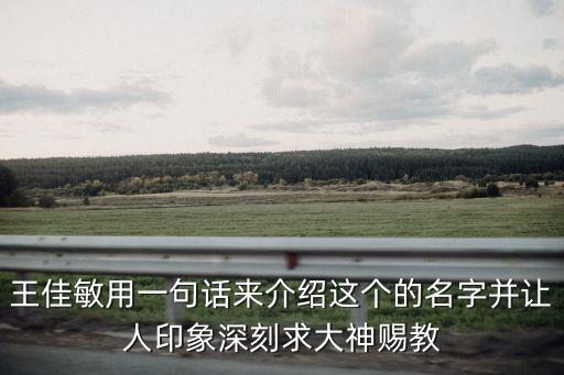 王佳敏用一句話來介紹這個的名字并讓人印象深刻求大神賜教