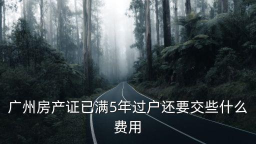廣州五年過(guò)戶，本人有輛粵D牌汽車05年入戶怎么樣才能過(guò)戶到廣州變成粵A牌
