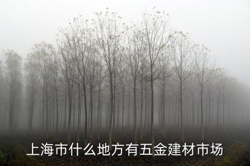 上海市建材市場附近，上海市什么地方有五金建材市場