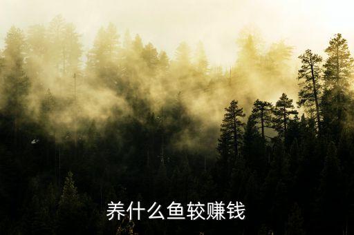 養(yǎng)什么魚較賺錢