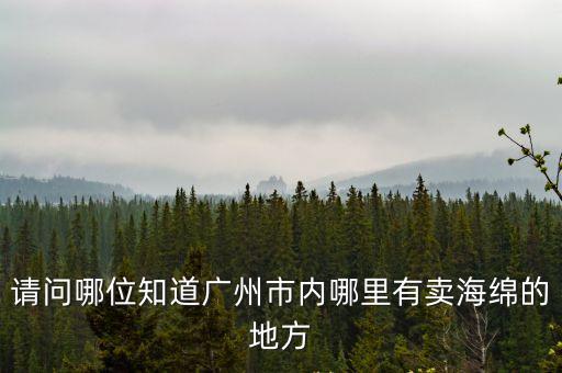 請問哪位知道廣州市內哪里有賣海綿的地方
