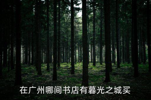 扶光書店廣州，廣州書店地址