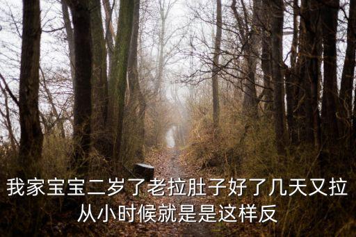 我家寶寶二歲了老拉肚子好了幾天又拉從小時候就是是這樣反