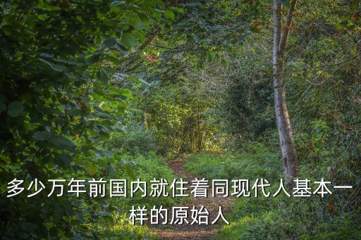 多少萬年前國內就住著同現代人基本一樣的原始人