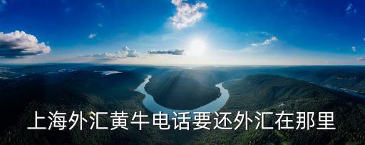 上海市外匯局資本項目電話，上海外匯黃牛電話要還外匯在那里