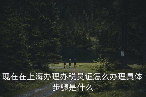 現在在上海辦理辦稅員證怎么辦理具體步驟是什么
