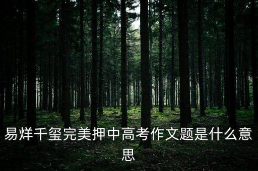 易烊千璽完美押中高考作文題是什么意思
