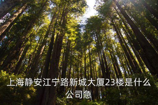 上海市靜安城市發(fā)展集團(tuán)，上海市靜安區(qū)天目西路218號(hào)具體是什么公司