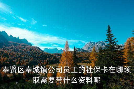 上海市奉城鎮公司，奉城鎮奉糧路達晟電子有限公司郵編是什么
