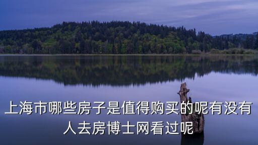 上海市哪些房子是值得購買的呢有沒有人去房博士網(wǎng)看過呢