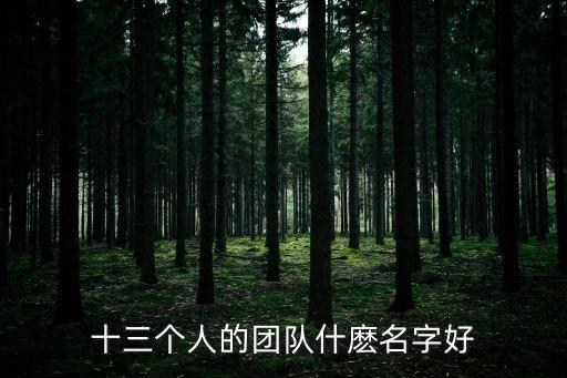 十三個人的團隊什麼名字好