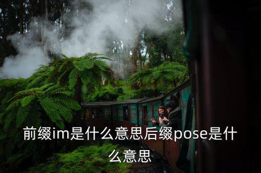 im前綴，前綴im是什么意思后綴pose是什么意思
