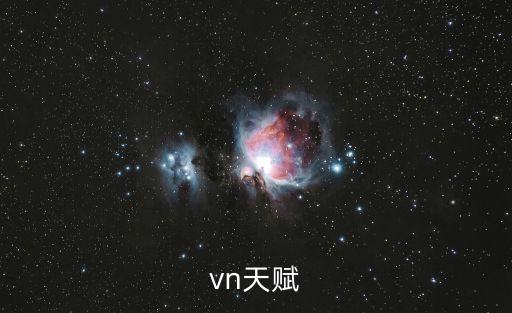 vn天賦