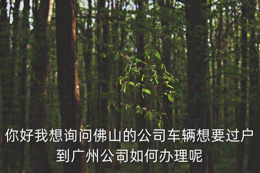 你好我想詢問佛山的公司車輛想要過戶到廣州公司如何辦理呢