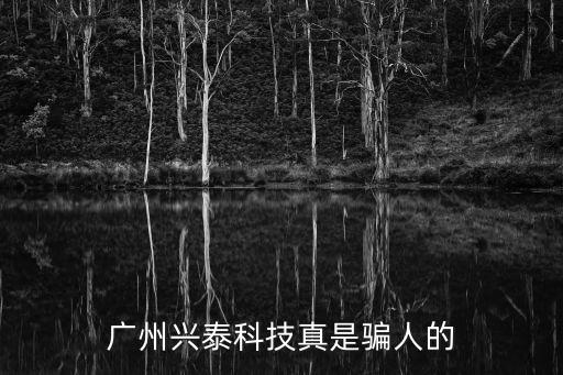 廣州興泰科技真是騙人的