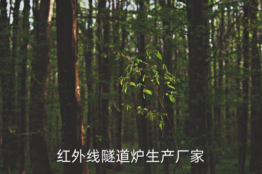 上海市奉賢區(qū)潔凈烘箱，完美產(chǎn)品上海奉賢南橋鎮(zhèn)確切營業(yè)地點