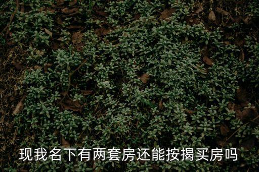 現我名下有兩套房還能按揭買房嗎