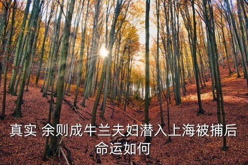 上海市破獲一批間諜案，學習的方法