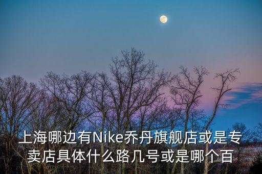 上海市耐克喬丹，上海哪里買喬丹耐克的鞋