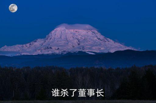 誰殺了董事長