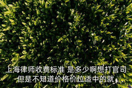 上海律師收費標準 是多少啊想打官司但是不知道價格價位適中的就