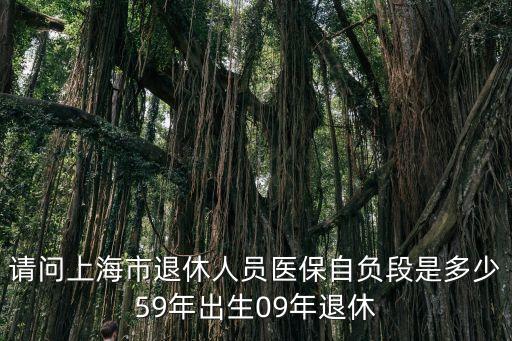 上海市退休中人醫(yī)保自付段是多少，退休人員醫(yī)保自負(fù)段是多少門特自負(fù)段是多少