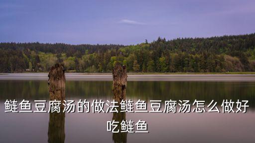 鰱魚燉豆腐，鰱魚的做法大全 怎么做豆腐燉江鰱魚