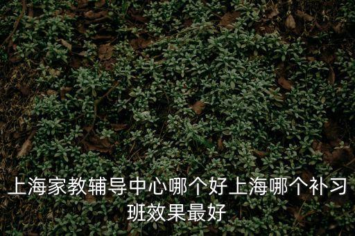 上海家教輔導中心哪個好上海哪個補習班效果最好